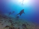 Hawaii Scuba divng 41