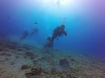 Hawaii Scuba divng 42