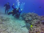 Hawaii Scuba divng 43