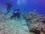 Hawaii Scuba divng 44