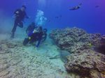 Hawaii Scuba divng 45