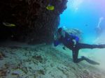 Hawaii Scuba divng 47