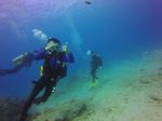 Hawaii Scuba divng 49