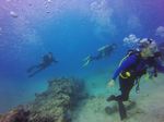 Hawaii Scuba divng 51