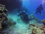 Hawaii Scuba divng 52