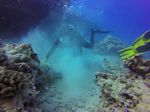 Hawaii Scuba divng 53