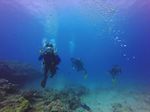 Hawaii Scuba divng 54