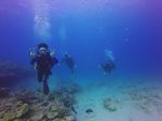 Hawaii Scuba divng 56