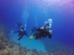 Hawaii Scuba divng 56