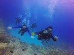 Hawaii Scuba divng 57