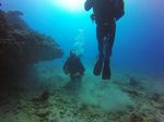 Hawaii Scuba divng 58