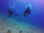 Hawaii Scuba divng 62