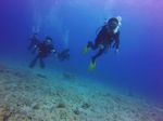 Hawaii Scuba divng 63