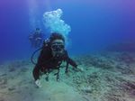 Hawaii Scuba divng 64