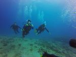 Hawaii Scuba divng 65