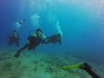 Hawaii Scuba divng 66