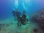 Hawaii Scuba divng 67