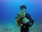 Hawaii Scuba divng 73