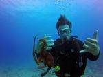 Hawaii Scuba divng 75