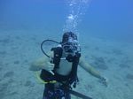 Hawaii Scuba divng 12