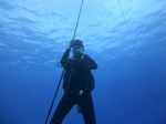 Hawaii Scuba divng 13