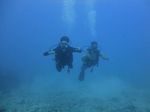 Hawaii Scuba divng 17