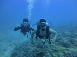 Hawaii Scuba divng 18