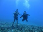 Hawaii Scuba divng 19