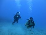 Hawaii Scuba divng 20