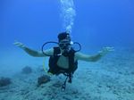 Hawaii Scuba divng 21