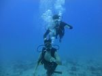 Hawaii Scuba divng 23