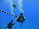 Hawaii Scuba divng 24