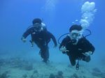 Hawaii Scuba divng 31