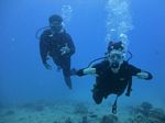 Hawaii Scuba divng 32