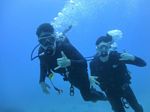 Hawaii Scuba divng 33