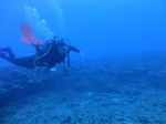 Hawaii Scuba 11