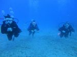 Hawaii Scuba 01