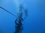 Hawaii Scuba 52