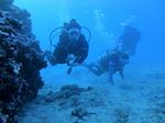 Hawaii Scuba 81