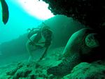 Hawaii Scuba divng 11