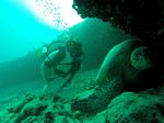 Hawaii Scuba divng 12