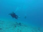 Hawaii Scuba divng 26