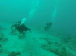 Hawaii Scuba divng 29