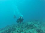 Hawaii Scuba divng 32