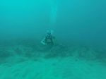 Hawaii Scuba divng 39