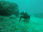 Hawaii Scuba divng 03