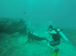 Hawaii Scuba divng 04