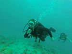 Hawaii Scuba divng 66