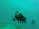 Hawaii Scuba divng 67