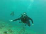 Hawaii Scuba divng 69